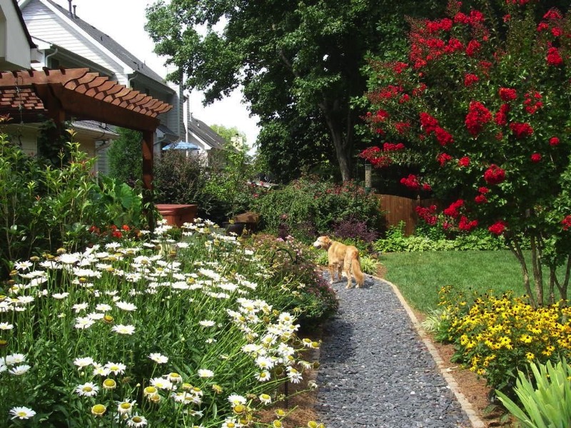 No mud tracked into house by dog path